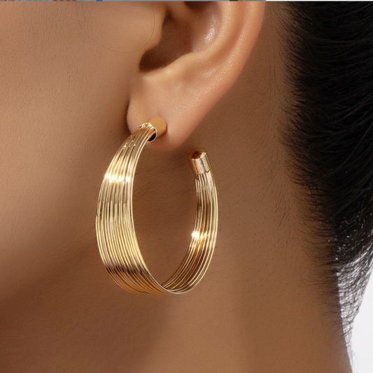 Radiance Twist Hoop Earrings (59)